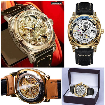 Tevise Mechanical Automatic Luxury Watch